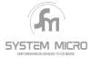 system